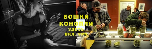 прущие грибы Верхнеуральск