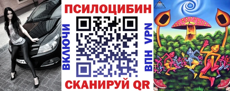 Купить закладки  Себеж  Галлюциногенные грибы GOLDEN TEACHER 